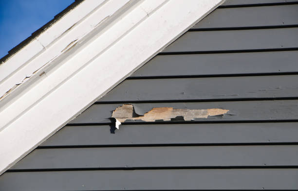 Reliable Clute, TX Junk Removal Solutions